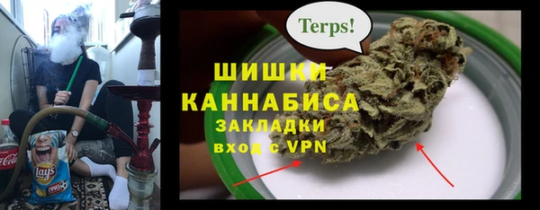 амф Инсар