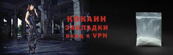 mix Инта