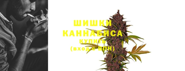 mix Инта