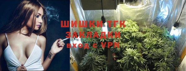 mix Инта