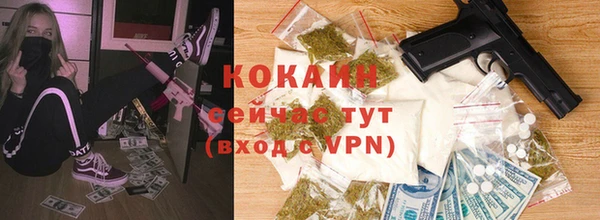 mix Инта